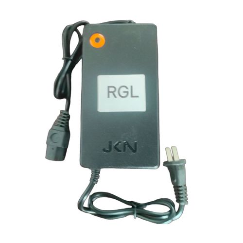 Cargador de Batería para Scooter Eléctrico RGL P8822 | 500 Watts Color Negro
