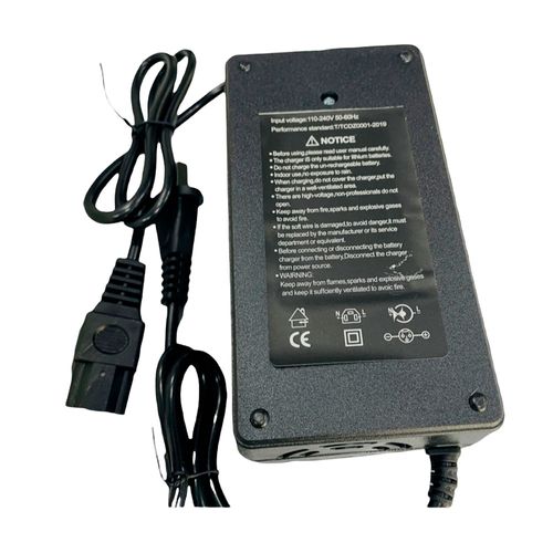 Cargador de Batería para Scooter Eléctrico RGL P8822 | 500 Watts Color Negro